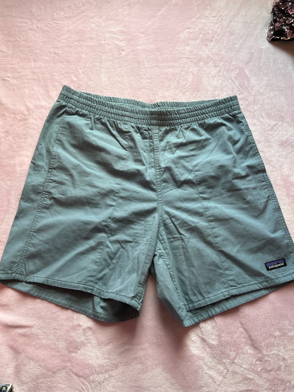 Patagonia Men's Light Blue Shorts